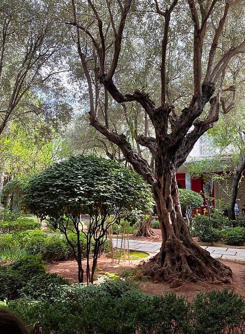 Jardin intérieur Athènes